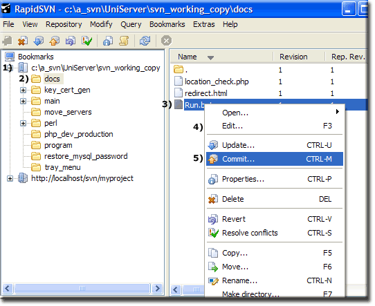 using rapidsvn using rapidsvn